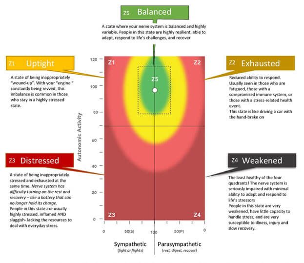 HRV zone chart showing the balanced green zone surrounded by stressed and exhausted zones